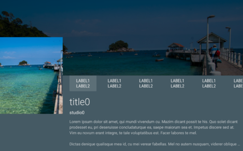 FullWidthDetailsOverviewRowPresenter1